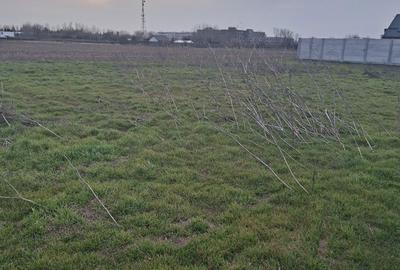 Teren de 567 mp, în Buda - 2