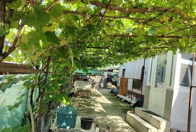 Casă cu 3 camere în Central - 6