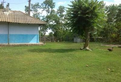 Casă cu 2 camere în Orăștie - 1