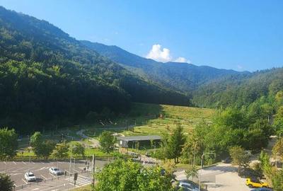 Apartament 2 camere, open space - zona Racadau - 8