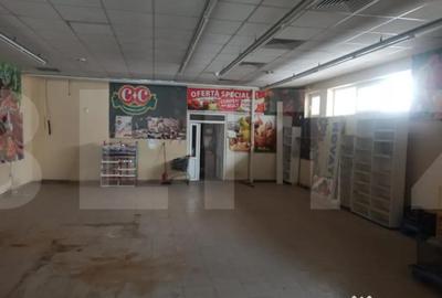 Spațiu comercial, de 400 mp, în Mehala - 7