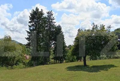 Cabana cu teren intravilan 18.449 mp Paingeni | 7,5 / - 4