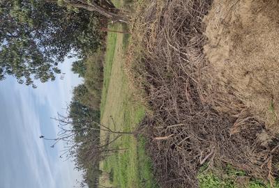 Casă cu 3 camere în Central - 3