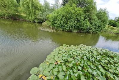 Teren intravilan de 25000 mp, în Exterior Est - 12