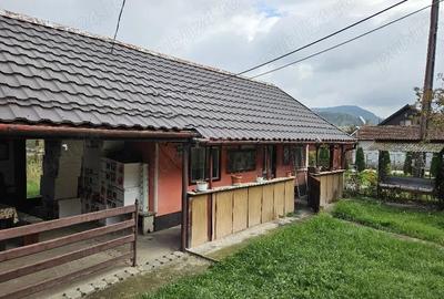 Casă cu Teren 445 Mp în Țărățel - 5