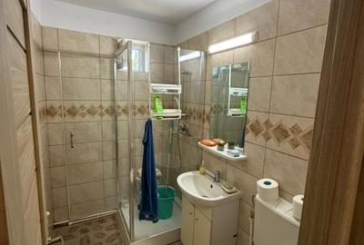 Apartament de vanzare, cu 2 camere, 46 mp, zona Mc Donald's - 8