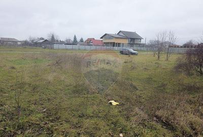 Teren 519mp Dumbrava Rosie / Strada CRANGULUI - 29