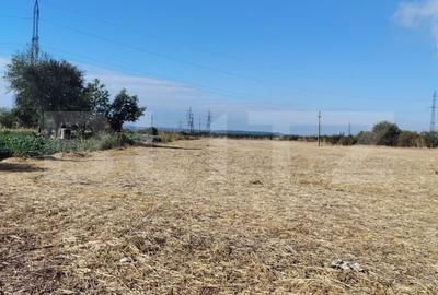 Teren Construcții intravilan de 2500 mp, în Exterior Nord - 3