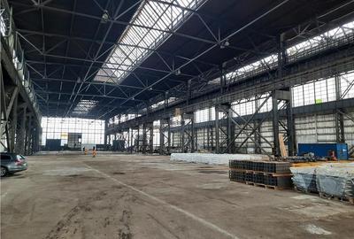 Spațiu industrial, de 20,000 mp, în Central - 12