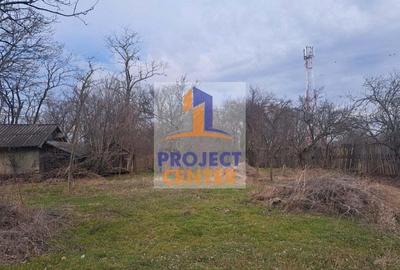 Gospodarie taraneasca in Rociu, Arges - 5