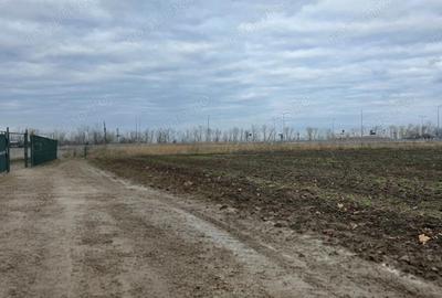 Teren la intrare in Biharia - 4