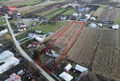 Casa de vanzare in Com Fratautii Noi - 15