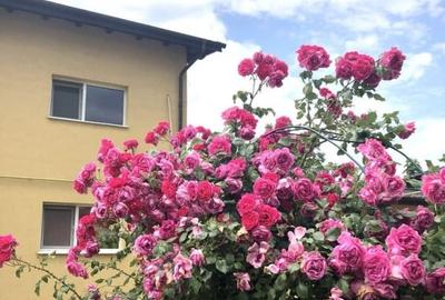 Garsonieră decomandată, mobilată în Theodor Pallady