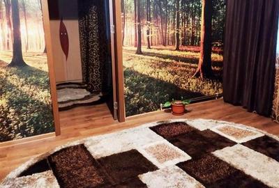 Apartament cu 2 camere nedecomandat, mobilat în Podu Roș - 2