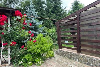 Casă cu 5 camere cu Teren 1596 Mp în Central