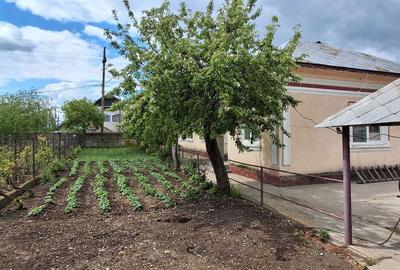 Casă cu 4 camere cu Teren 1175 Mp în Islaz - 8