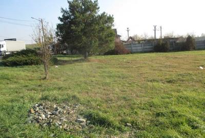 Teren Construcții intravilan de 13533 mp, în Vărșand - 4