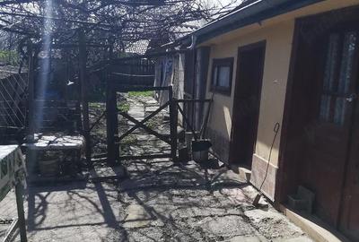 Casă cu 3 camere cu Teren 864 Mp în Siliștea - 6
