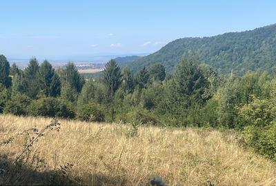 Teren agricol intravilan de 9300 mp, în Glăjărie