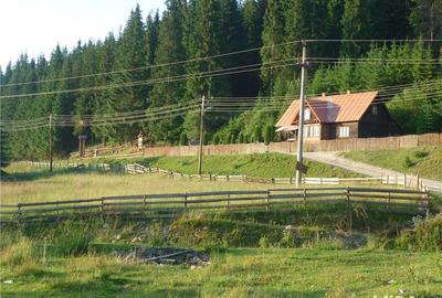 Teren de 3000 mp, în Poiana Horea - 4