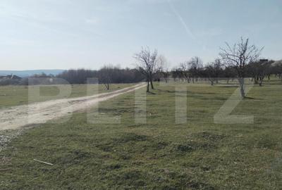 Teren intravilan cu suprafa?a de 9ha, Aninoasa - 2