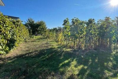 Casa individuala + anexa si gospodarie , 247 mp , 3 nivele, 1669 gradina, Gilau - 14