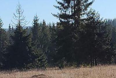 Teren de 2000 mp, în Central - 1