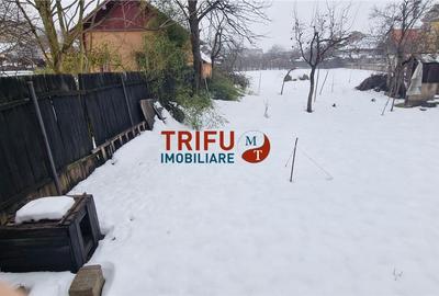 Teren de 741 mp, în Cetate - 1