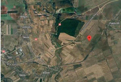 Teren extravilan, loc. Barza, jud Olt, - 3