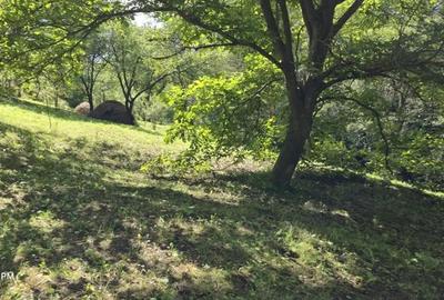 Casă cu 2 camere cu Teren 5300 Mp în Breaza - 4