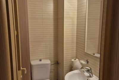 Apartament cu 3 camere decomandat în Craiovei - 6