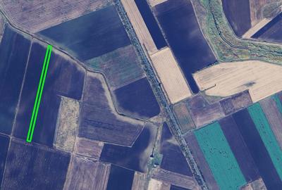 Teren de 10000 mp, în Becicherecu Mic - 2