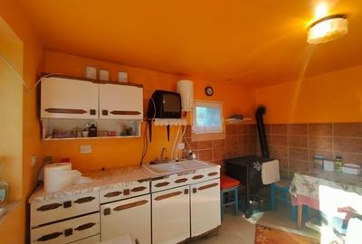 Casa de vanzare/schimb in Panticeu cu gradina mare - 12