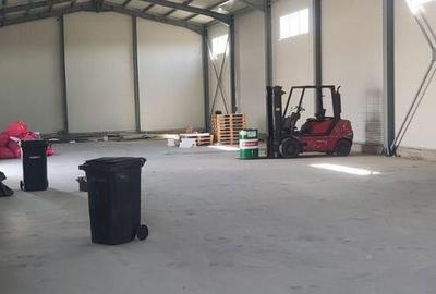 Module hale 120/240/360/480 mp Ciorogarla Autostrada - 6