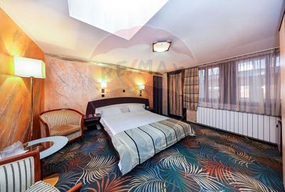 Pensiune/business la cheie  de vanzare, in zona Centrul Istoric! - 21