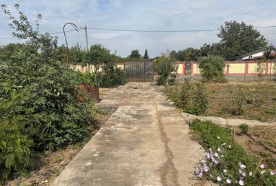 Casă cu 3 camere cu Teren 1930 Mp în Cojești - 3