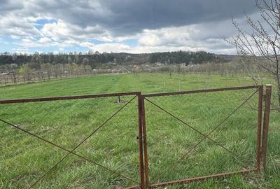 Spațiu comercial, în Dragodănești - 6