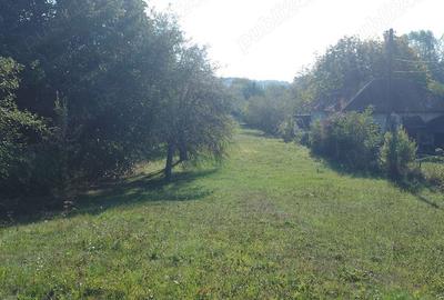 Teren de 2298 mp, în Păușești