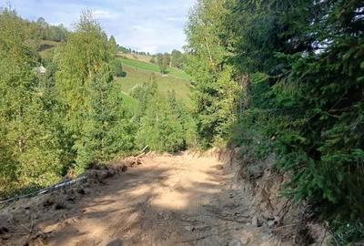 Teren în Măguri - 3