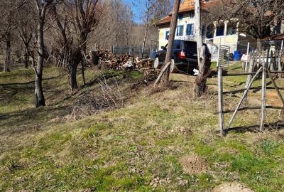 VAND CASA BATRANEASCA, 3,1 HA IN JURUL CASEI, COM.CETATENI - 2