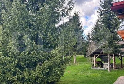 Spațiu comercial, de 600 mp, în Dălghiu - 11