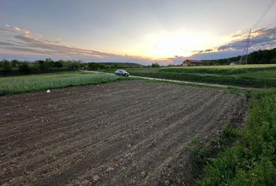 Spațiu comercial, în Dealu - 2