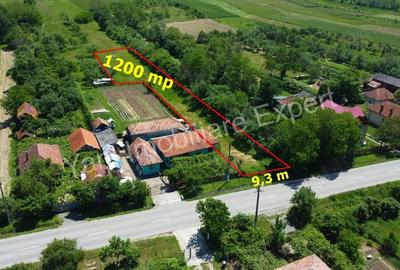 Teren de vanzare in comuna Poienarii de Arge?, sat Ceaure?ti, Jude? Arge?. - 1