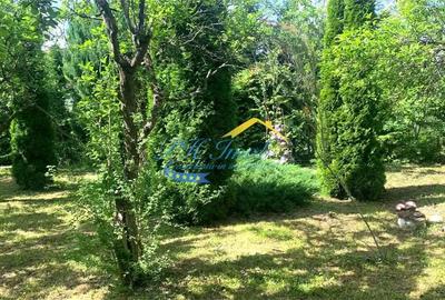 Casă cu Teren 3043 Mp în Provița de Sus - 1