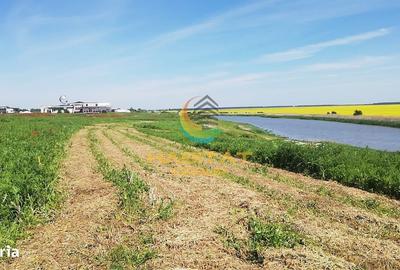 Spațiu comercial, în Frumușani