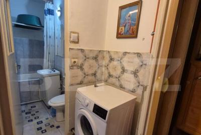 Apartament 2 camere, vedere superba spre natura, zona Maxx - 3