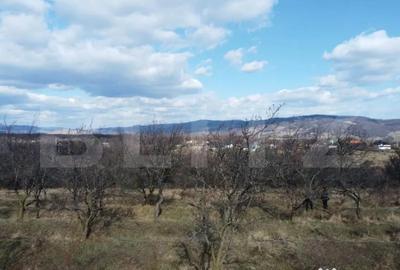 Teren de 11931 mp, în Vălenii de Munte - 5