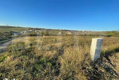 Teren de 630 mp, în Paleu - 3