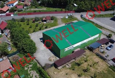 Hală industrială de vânzare în Chichiș! - 3