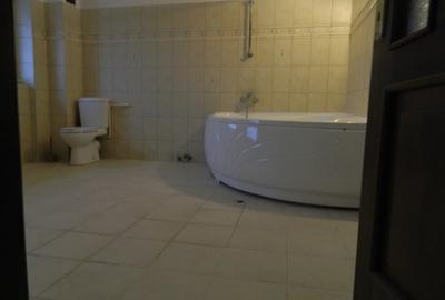 Hala industriala + Spatiu comercial (showroom / birouri)/Atelier/Service auto - 14